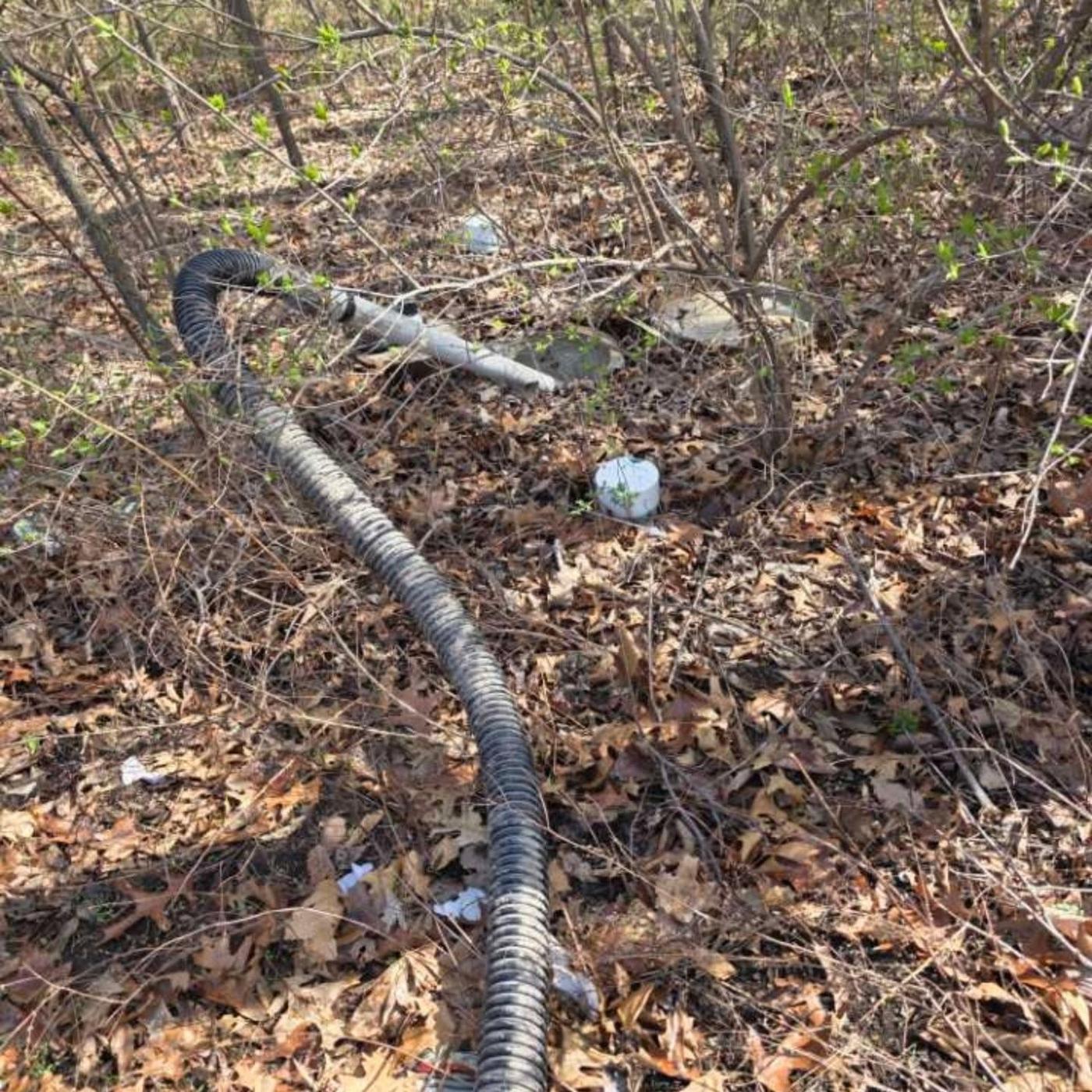 A suction hose run a long way through scrub woodland to reach a septic lid set back in the brush